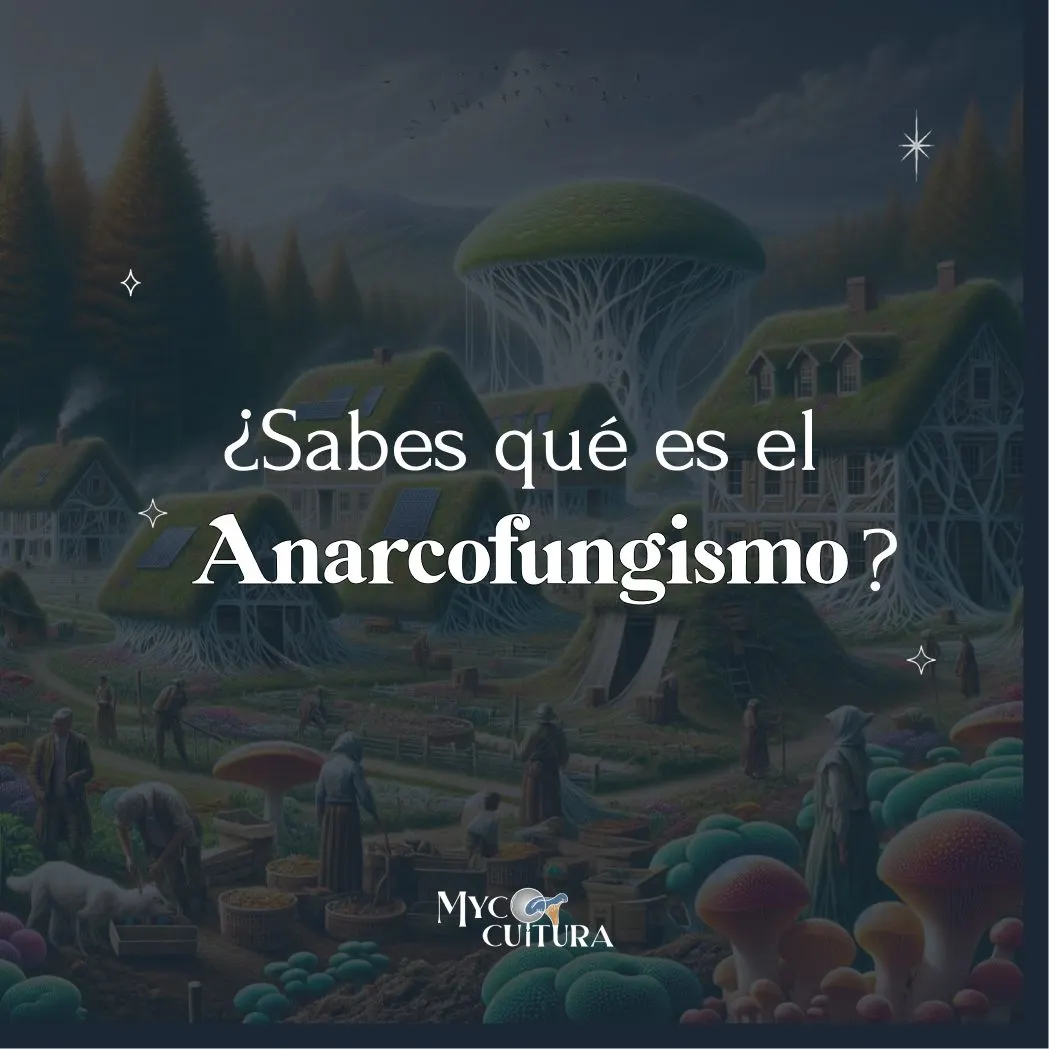 Publicación de Instagram: ¿Qué es el Anarcofungismo?
