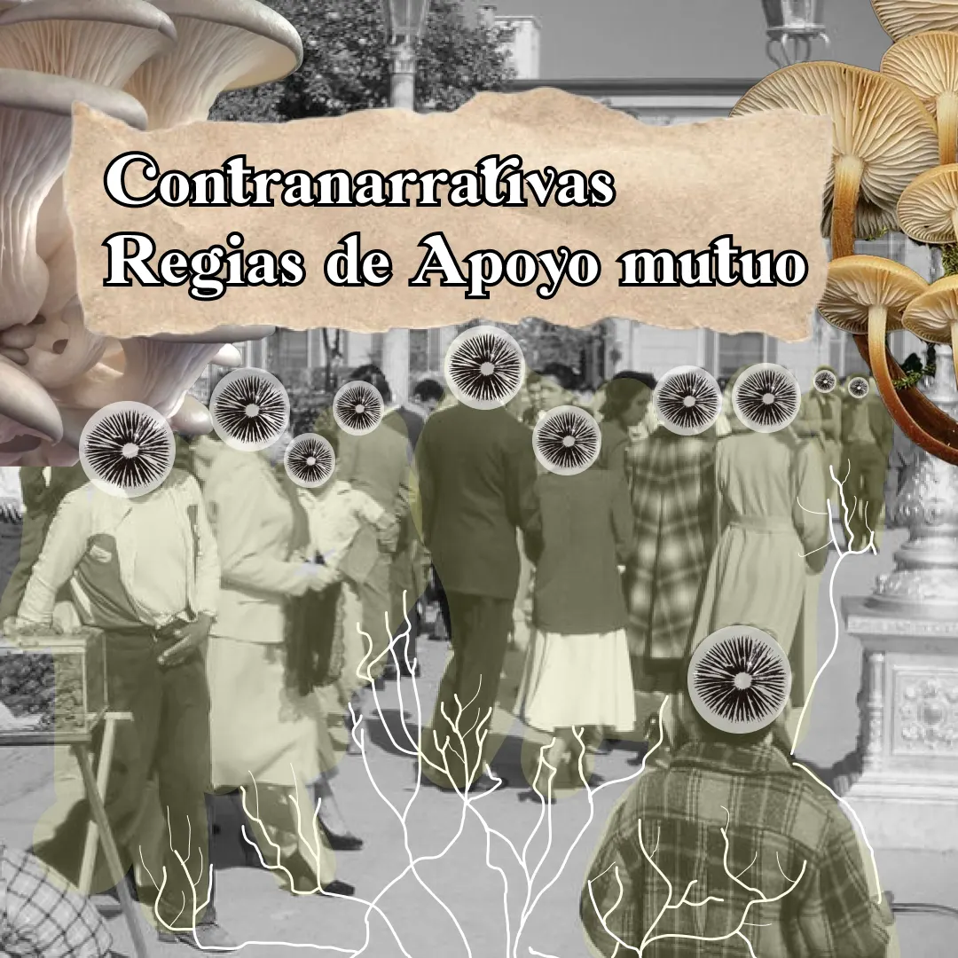 Publicación de Instagram: Contranarrativas regias de cuidado mutuo
