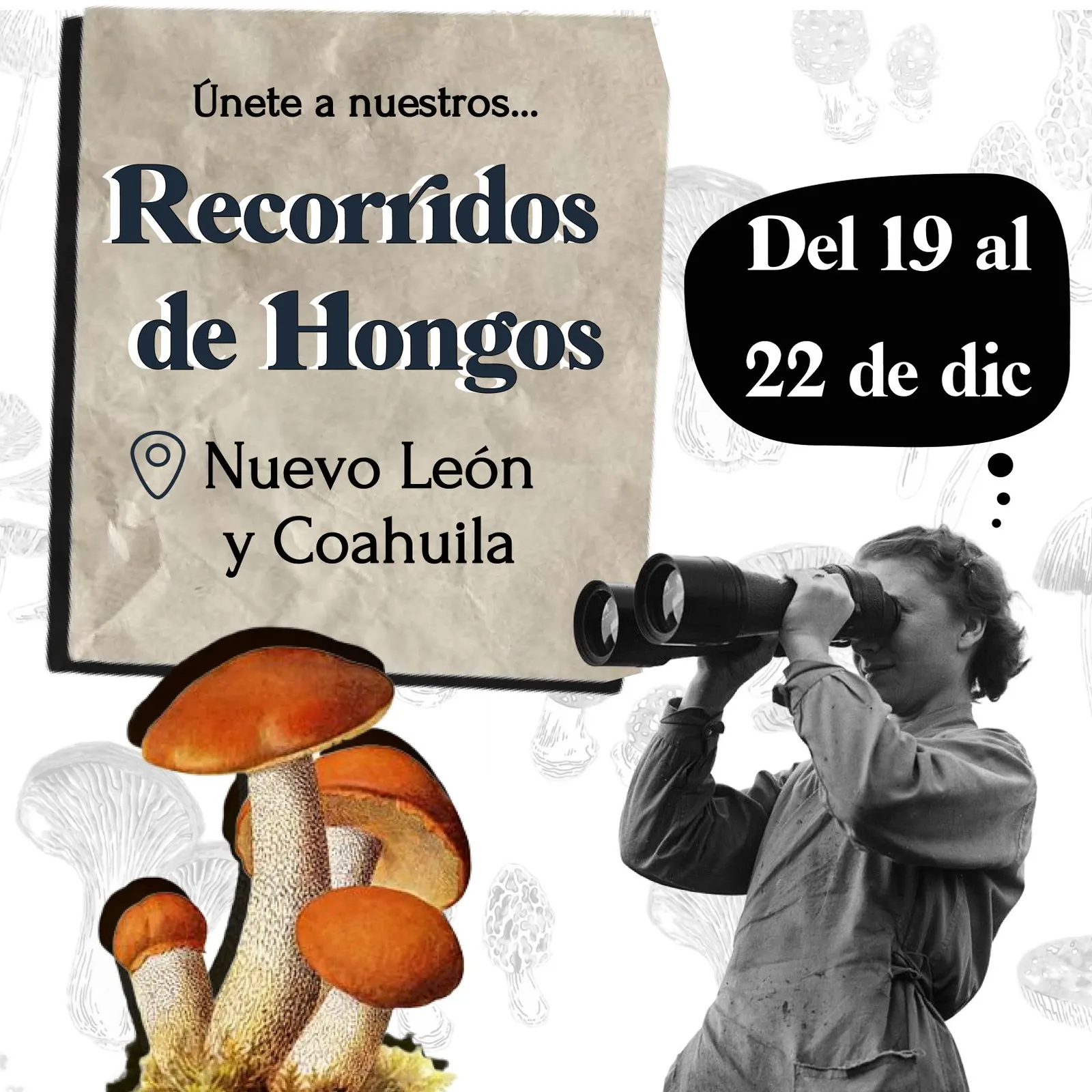 Publicación de Instagram: Buscando Hongos Norteños: Mycorrecorridos en Nuevo León y Coahuila