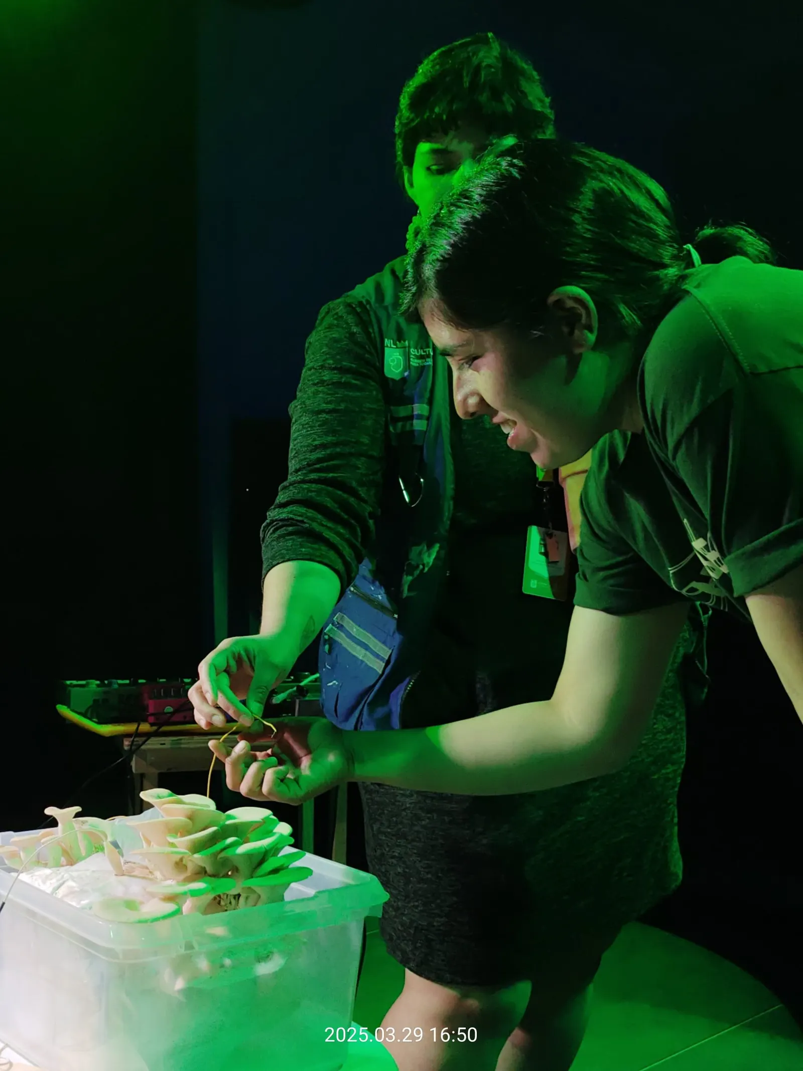 Silvia mostrando cómo poder escuchar las vibraciones fúngicas