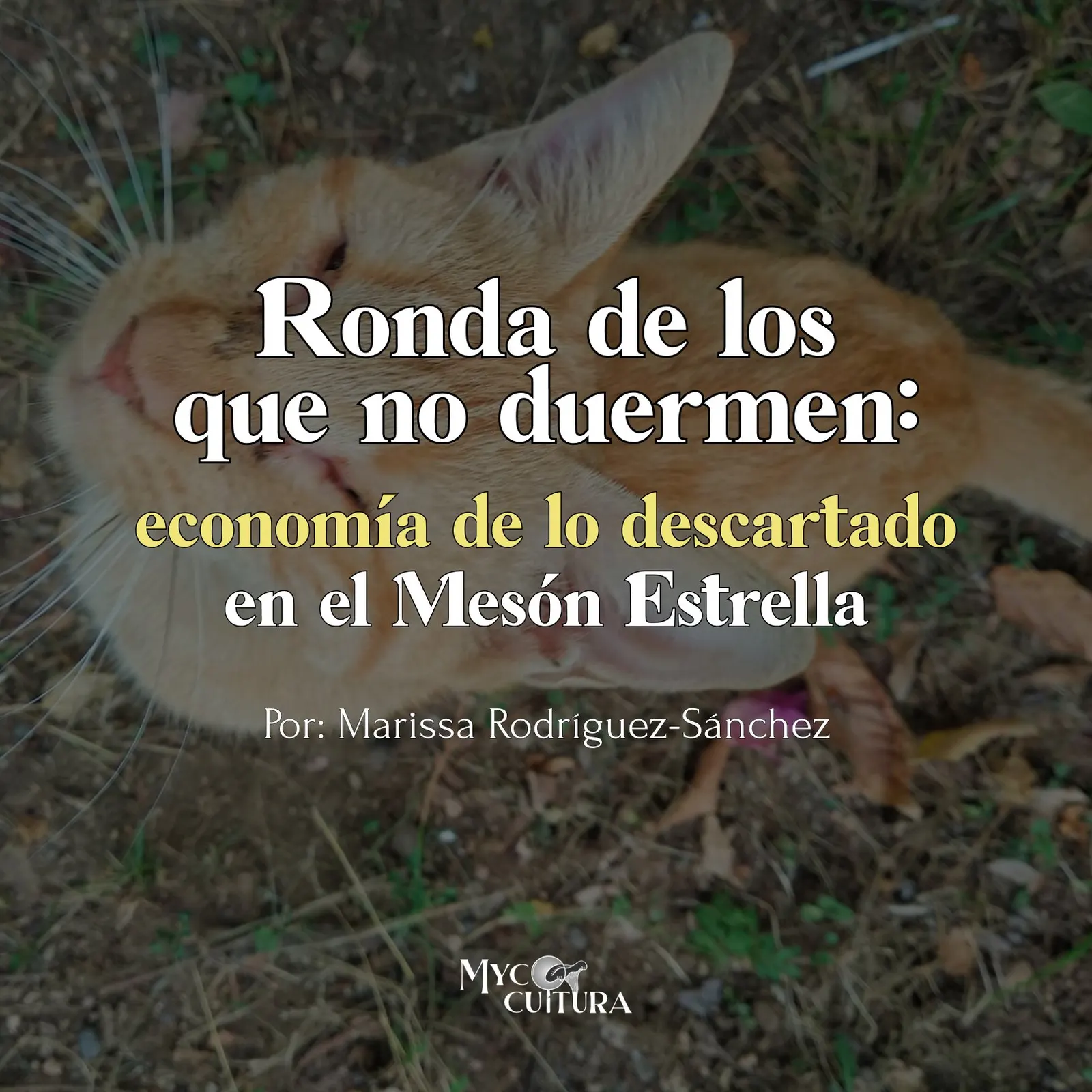 Publicación 1 del Instagram de Mycocultura